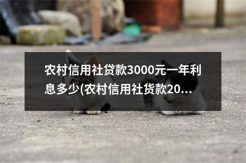 农村信用社贷款3000元一年利息多少(农村信用社货款20万5年利息多少)