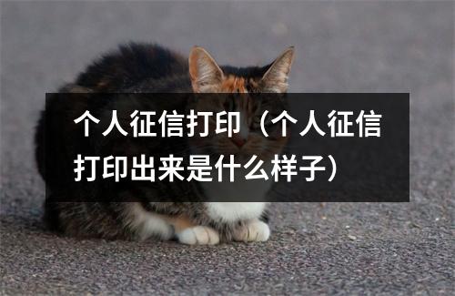 个人征信打印（个人征信打印出来是什么样子）