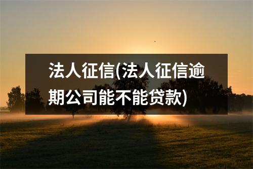 法人征信(法人征信逾期公司能不能贷款)