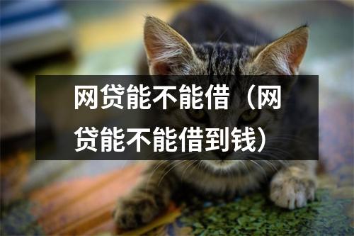 网贷能不能借（网贷能不能借到钱）