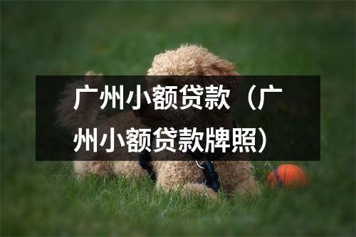 广州小额贷款（广州小额贷款牌照）