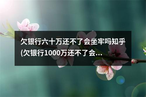 欠银行六十万还不了会坐牢吗知乎(欠银行1000万还不了会坐牢吗)
