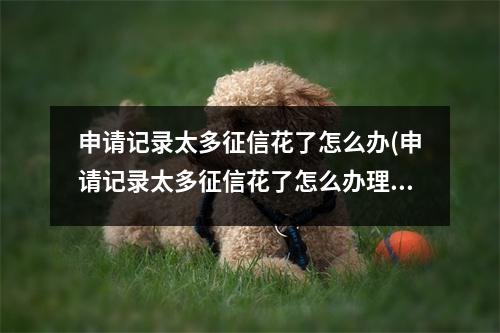 申请记录太多征信花了怎么办(申请记录太多征信花了怎么办理)