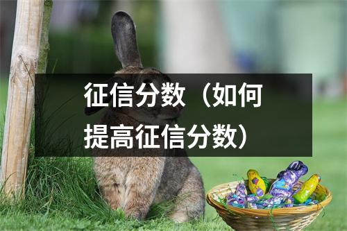 征信分数（如何提高征信分数）