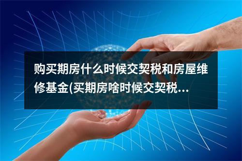购买期房什么时候交契税和房屋维修基金(买期房啥时候交契税和维修基金)