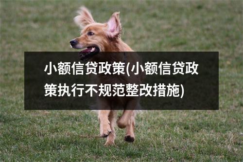 小额信贷政策(小额信贷政策执行不规范整改措施)