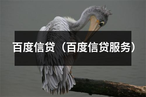 百度信贷（百度信贷服务）