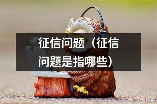 征信问题（征信问题是指哪些）