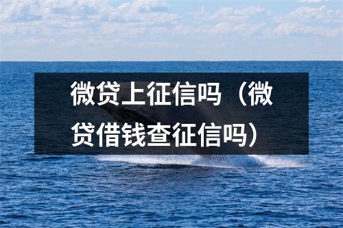微贷上征信吗（微贷借钱查征信吗）