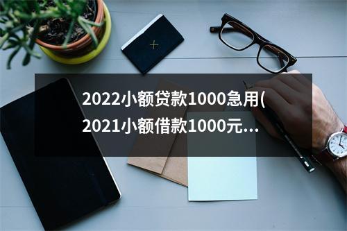 2022小额贷款1000急用(2021小额借款1000元马上放款)