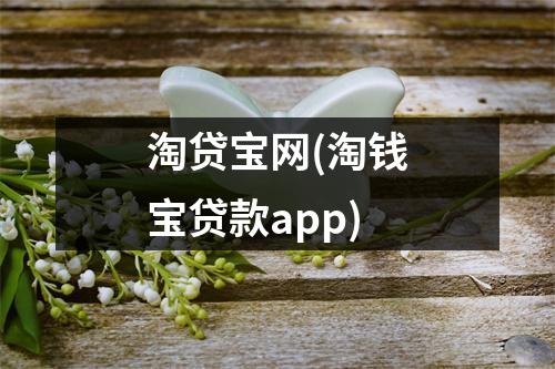 淘贷宝网(淘钱宝贷款app)