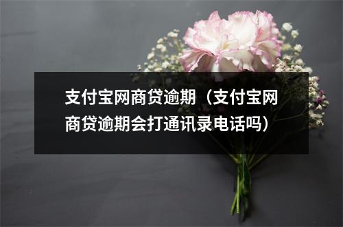 支付宝网商贷逾期（支付宝网商贷逾期会打通讯录电话吗）