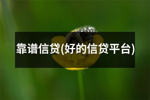 靠谱信贷(好的信贷平台)