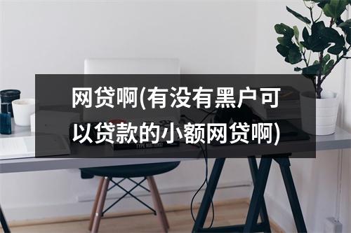 网贷啊(有没有黑户可以贷款的小额网贷啊)