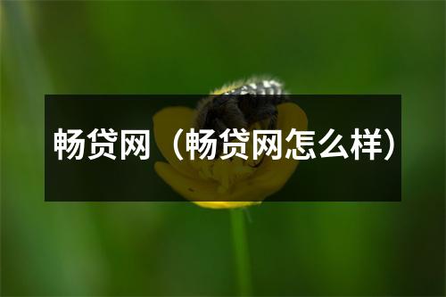 畅贷网（畅贷网怎么样）