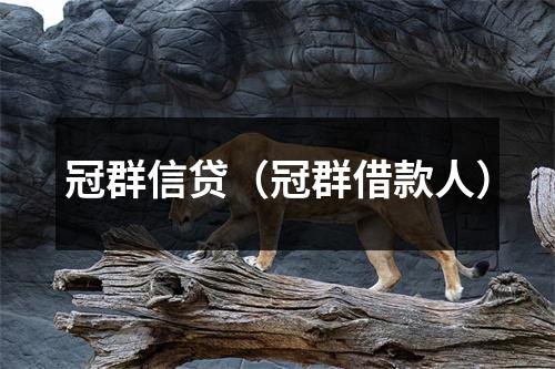 冠群信贷(冠群借款人)