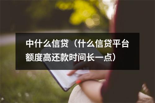 中什么信贷（什么信贷平台额度高还款时间长一点）