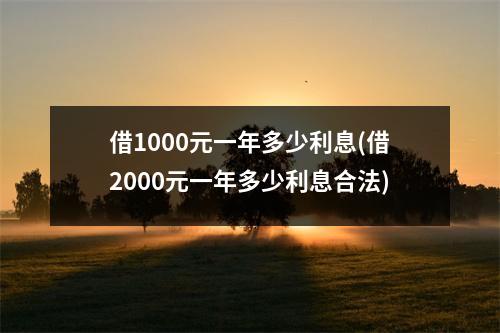 借1000元一年多少利息(借2000元一年多少利息合法)