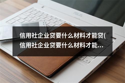 信用社企业贷要什么材料才能贷(信用社企业贷要什么材料才能办理)