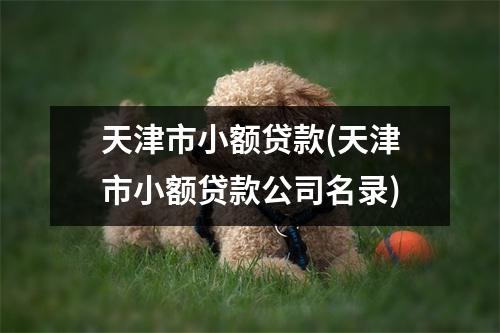 天津市小额贷款(天津市小额贷款公司名录)