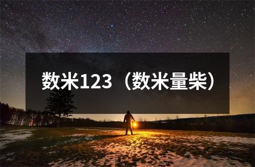 数米123（数米量柴）