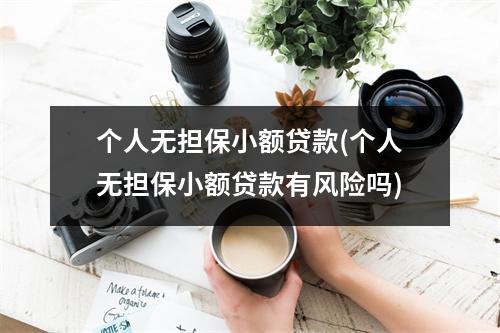 个人无担保小额贷款(个人无担保小额贷款有风险吗)