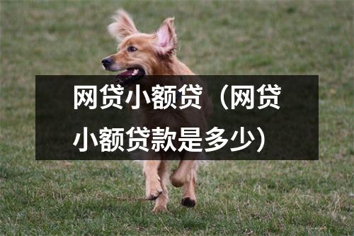 网贷小额贷(网贷小额贷款是多少)