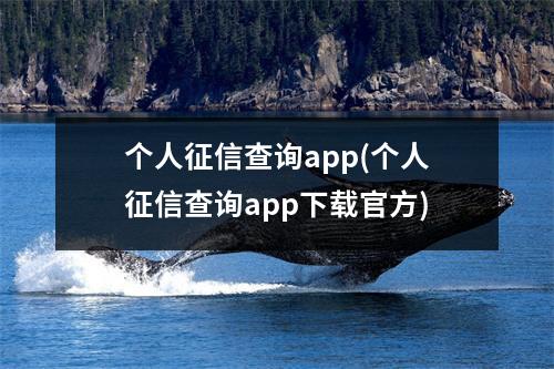 个人征信查询app(个人征信查询app下载官方)