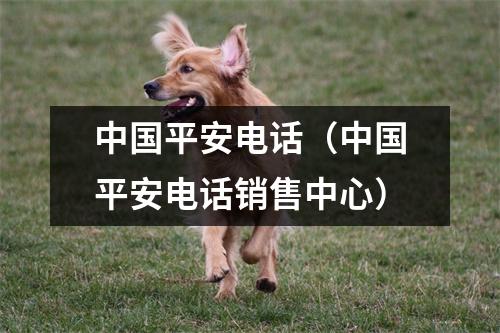 中国平安电话(中国平安电话销售中心)