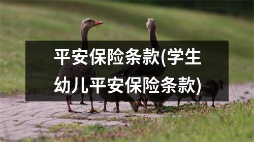 平安保险条款(学生幼儿平安保险条款)