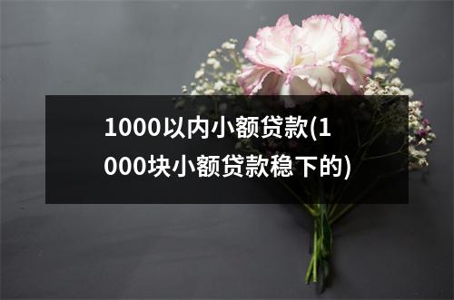 1000以内小额贷款(1000块小额贷款稳下的)