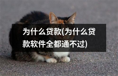 为什么贷款(为什么贷款软件全都通不过)