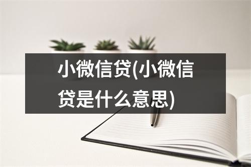 小微信贷(小微信贷是什么意思)
