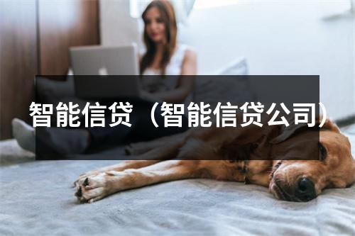 智能信贷(智能信贷公司)