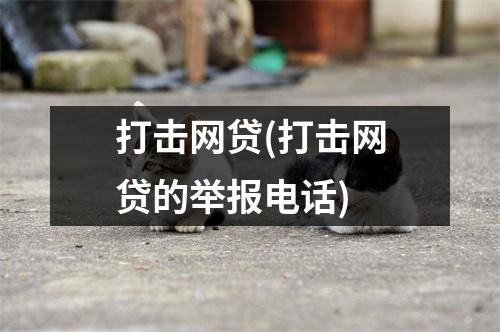 打击网贷(打击网贷的举报电话)