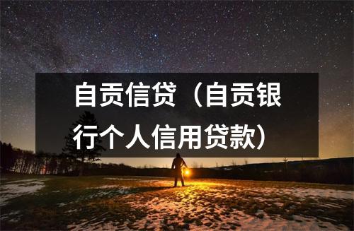 自贡信贷(自贡银行个人信用贷款)