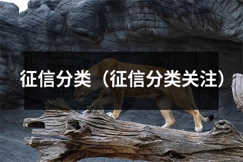 征信分类(征信分类关注)