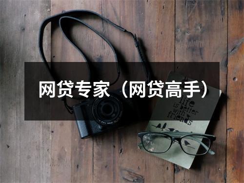 网贷专家(网贷高手)