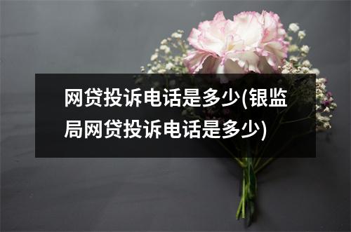 网贷投诉电话是多少(银监局网贷投诉电话是多少)