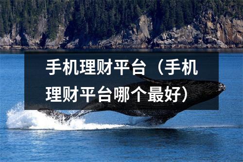 手机理财平台(手机理财平台哪个最好)