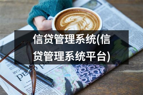 信贷管理系统(信贷管理系统平台)