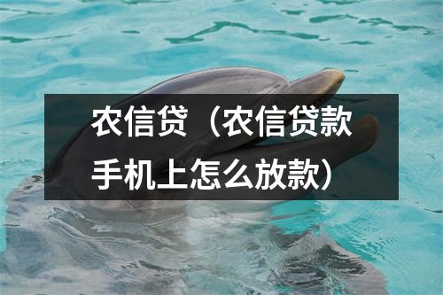 农信贷（农信贷款手机上怎么放款）