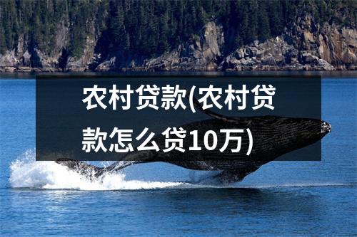 农村贷款(农村贷款怎么贷10万)
