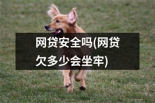 网贷安全吗(网贷欠多少会坐牢)
