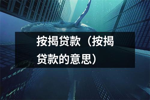 按揭贷款（按揭贷款的意思）