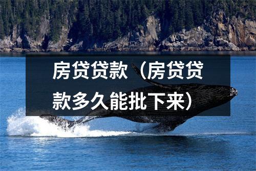 房贷贷款(房贷贷款多久能批下来)