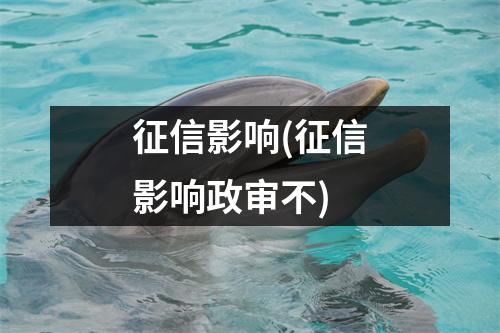 征信影响(征信影响政审不)