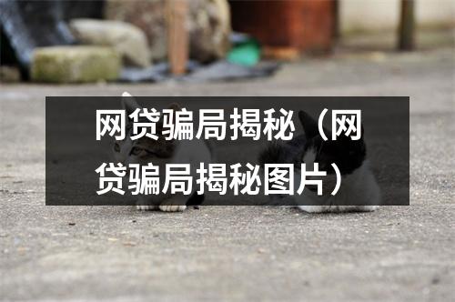 网贷骗局揭秘（网贷骗局揭秘图片）