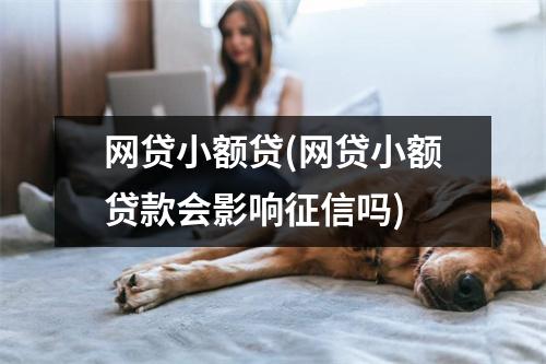 网贷小额贷(网贷小额贷款会影响征信吗)