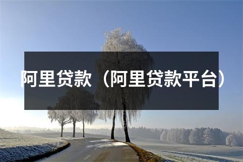 阿里贷款（阿里贷款平台）